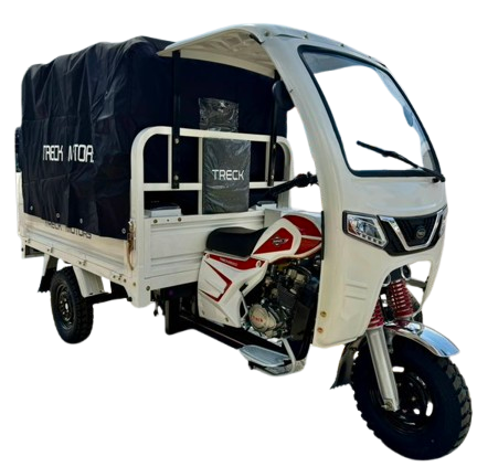 Motocarro Rampante 250cc plus
