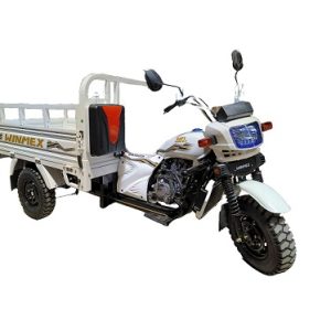 Motocarro WM200 Winmex